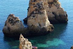 falco-algarve-534543_1280