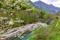 photosforyou-nature-3368848_1280