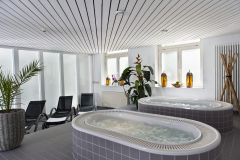 Precise Carlton Hotel Donaueschingen, Wellness