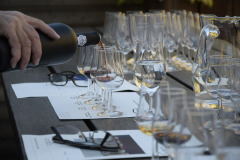 mokca-tasting-wine-1324261_1280