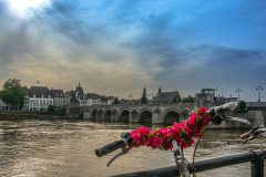 maas-1487272_1280