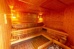 Sauna-1