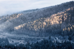 fog-8519078_1280
