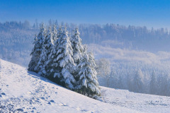 mountains-8540737_1280