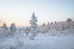 winter-4682051_1280