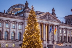 Weihnachtsbaum-Reichstag-26.01.2022-Pixabay