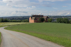 grass-3143751_1280