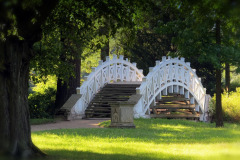bridge-2224068_1280