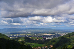 black-forest-2822787_1280