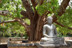 buddha-3612870_1280