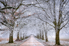 road-6935773_1280