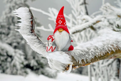 santa-claus-1819933_12801