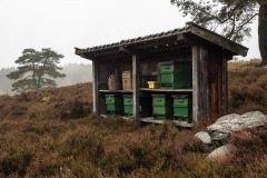 beehive-2108642_1280
