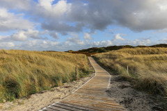 grass-4338114_1280