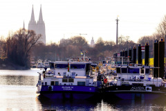 rhine-7852377_1280