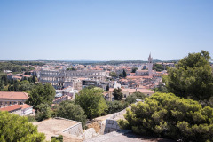 herm-pula-7347517_1280