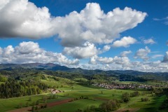 black-forest-4274490_1280