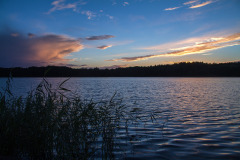 muritz-1775860_1280