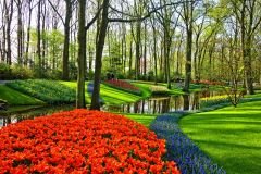 garden-gea776e665_1920