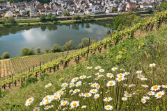 river-5830878_1280