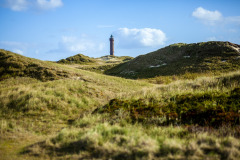 lighthouse-4890873_1280