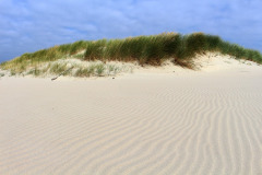 longoog-4078229_1280