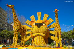 Fete-du-citron-menton®-ville-de-menton-52